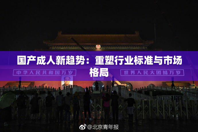 国产成人新趋势：重塑行业标准与市场格局
