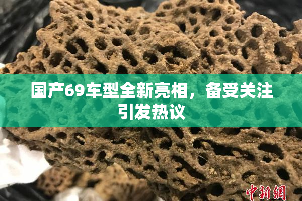 国产69车型全新亮相，备受关注引发热议