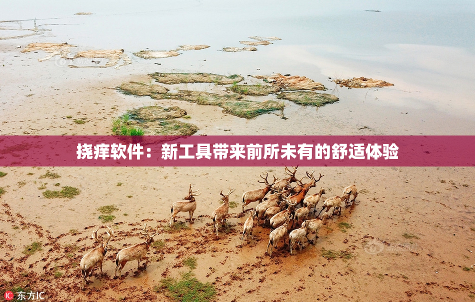 挠痒软件：新工具带来前所未有的舒适体验