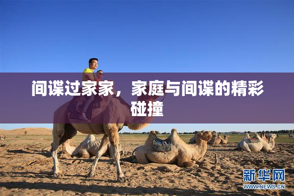 间谍过家家，家庭与间谍的精彩碰撞