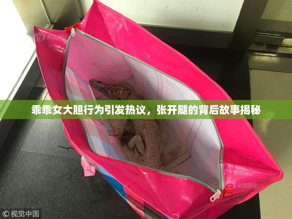 乖乖女大胆行为引发热议，张开腿的背后故事揭秘