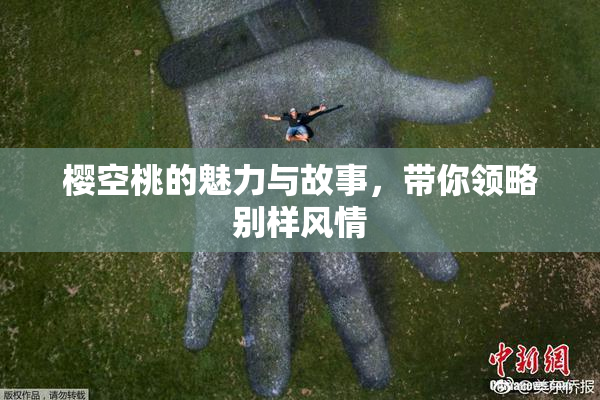 樱空桃的魅力与故事，带你领略别样风情