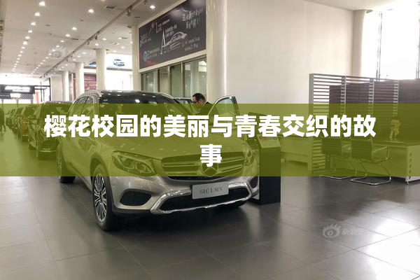 樱花校园的美丽与青春交织的故事