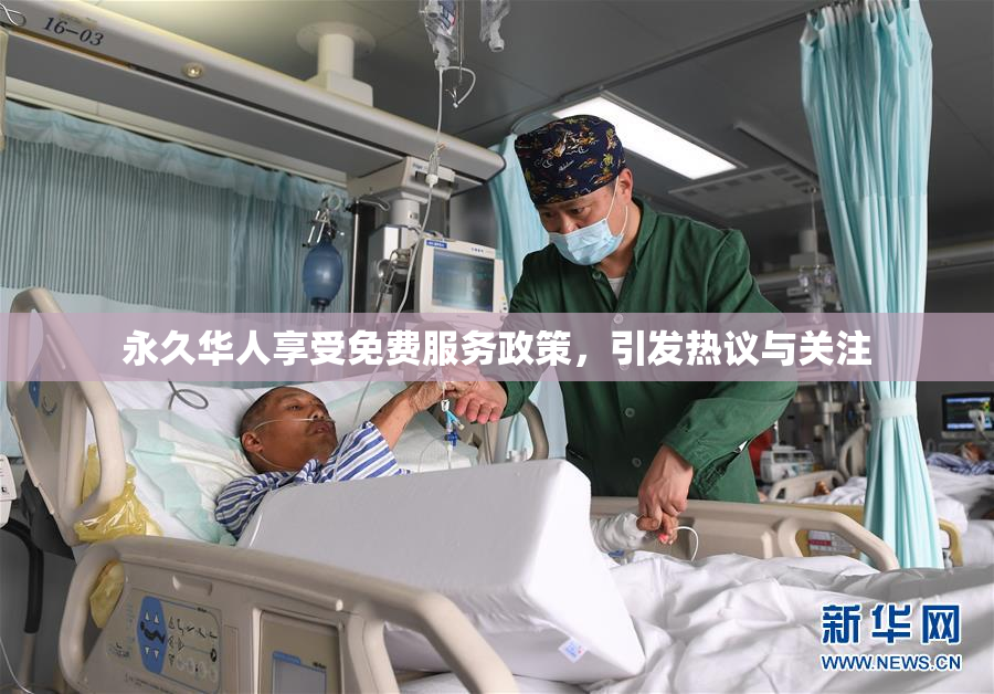 永久华人享受免费服务政策，引发热议与关注