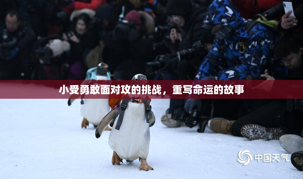 小受勇敢面对攻的挑战，重写命运的故事