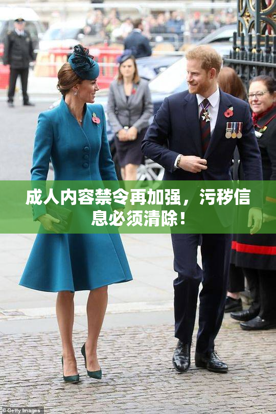 成人内容禁令再加强，污秽信息必须清除！