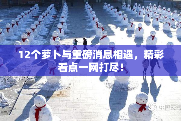 12个萝卜与重磅消息相遇，精彩看点一网打尽！