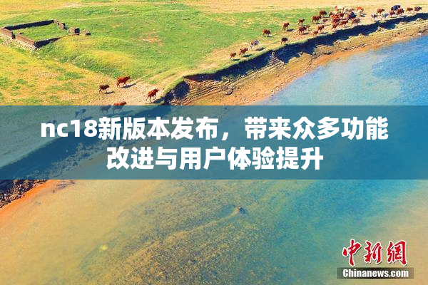 nc18新版本发布，带来众多功能改进与用户体验提升