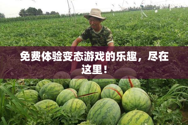 免费体验变态游戏的乐趣，尽在这里！