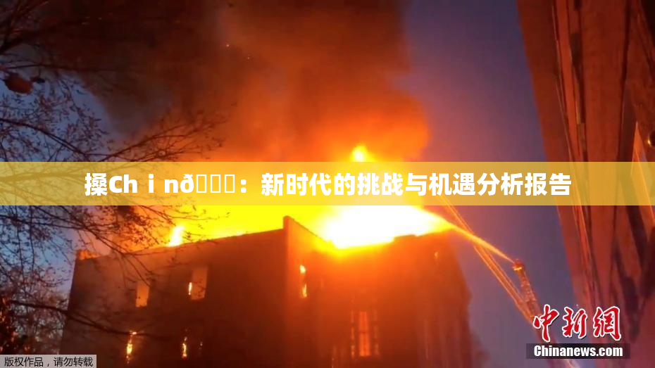 搡Chⅰn🈚：新时代的挑战与机遇分析报告