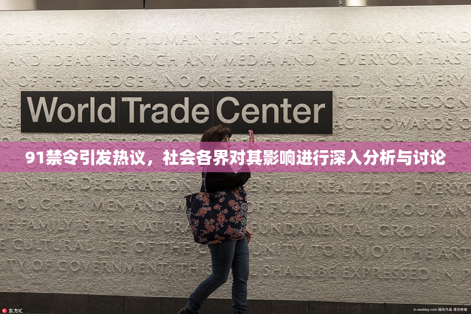 91禁令引发热议，社会各界对其影响进行深入分析与讨论