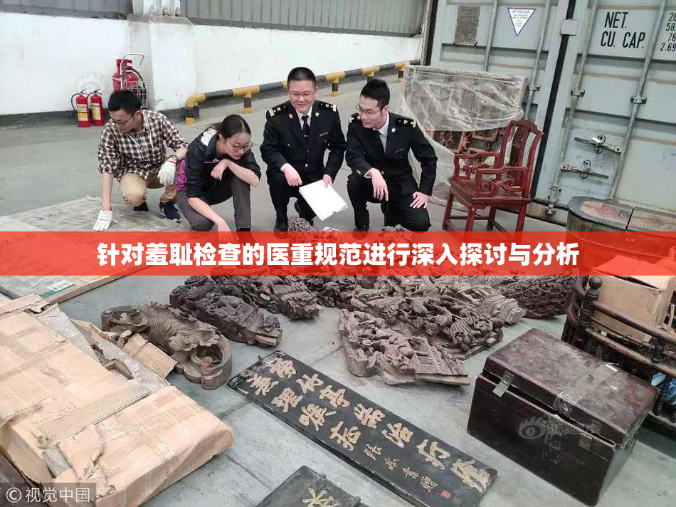 针对羞耻检查的医重规范进行深入探讨与分析