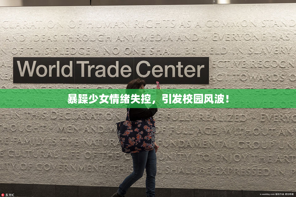 暴躁少女情绪失控，引发校园风波！