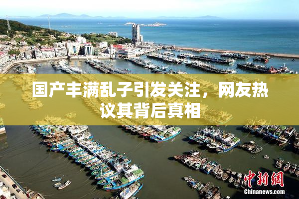 国产丰满乱子引发关注，网友热议其背后真相