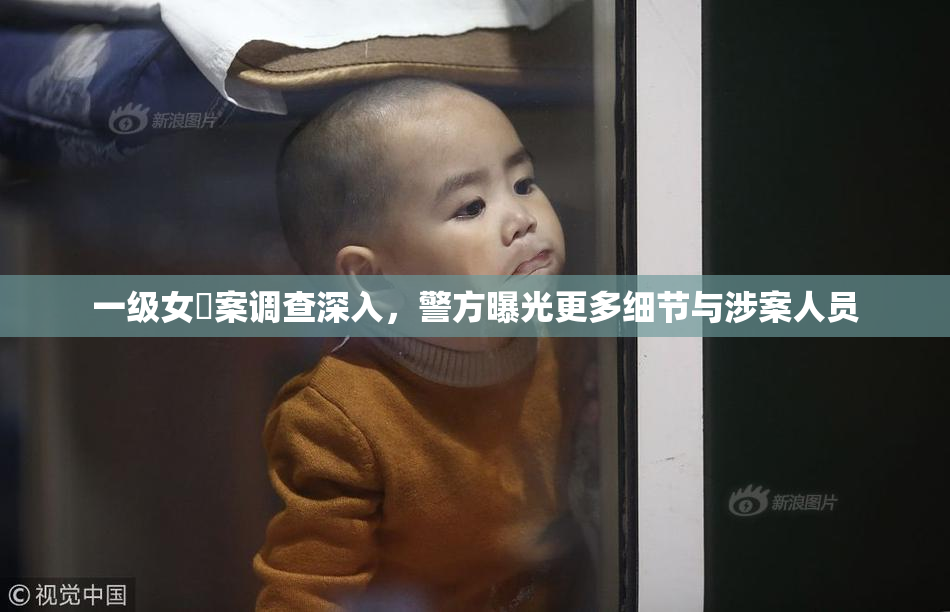 一级女婬案调查深入，警方曝光更多细节与涉案人员