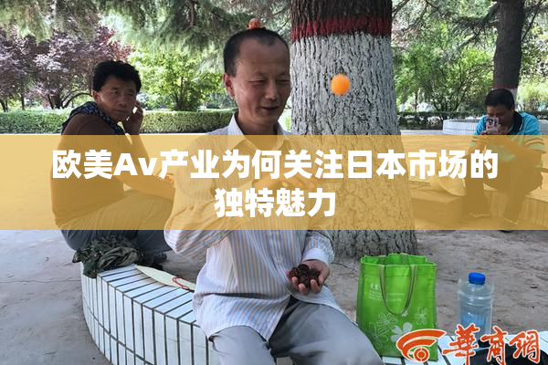 欧美Av产业为何关注日本市场的独特魅力