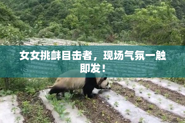 女女挑衅目击者，现场气氛一触即发！