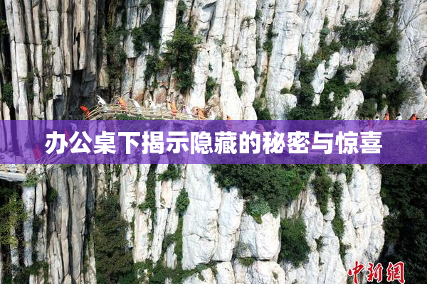 办公桌下揭示隐藏的秘密与惊喜