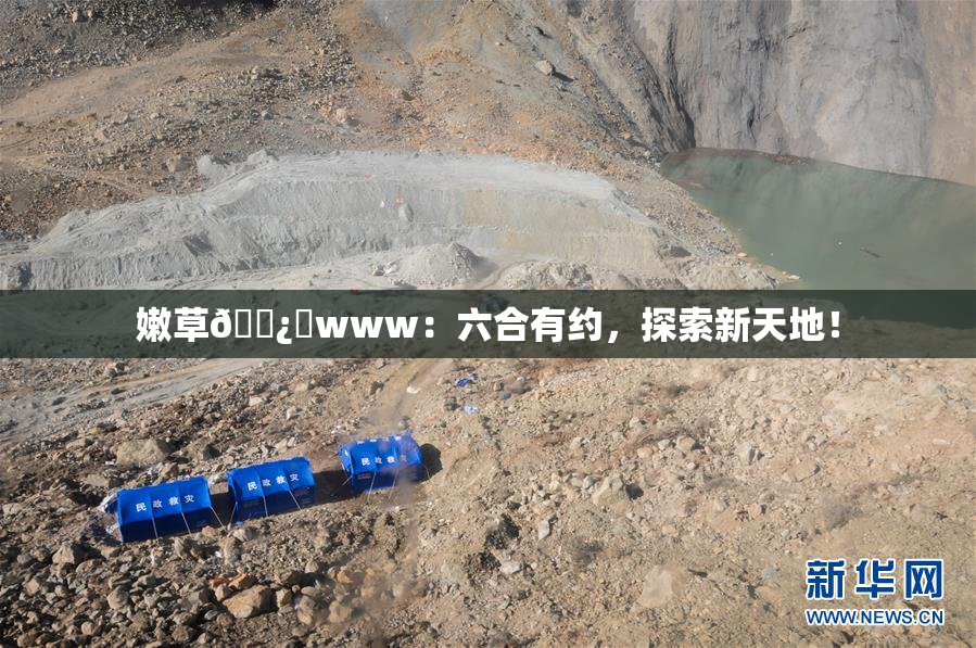 嫩草🌿‌www：六合有约，探索新天地！