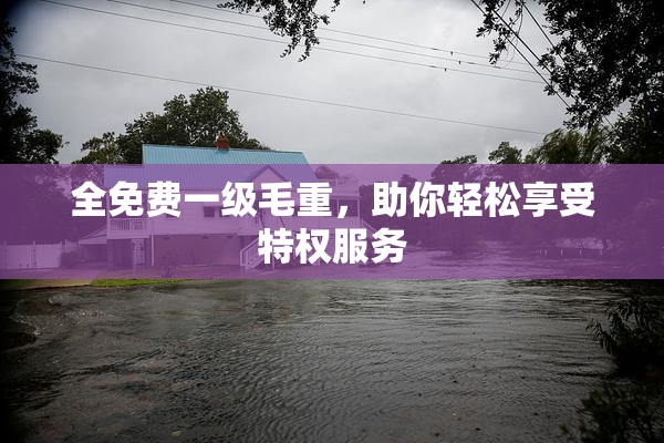 全免费一级毛重，助你轻松享受特权服务