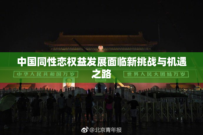 中国同性恋权益发展面临新挑战与机遇之路