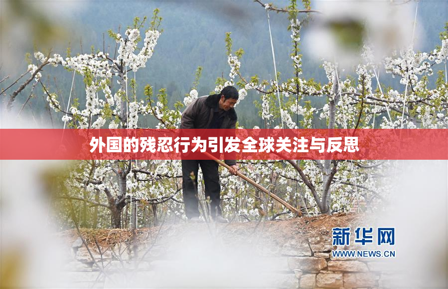 外国的残忍行为引发全球关注与反思