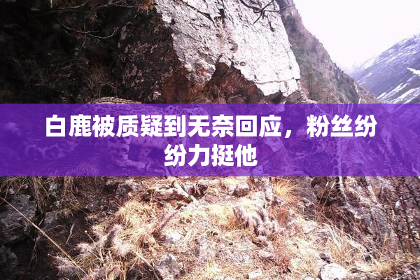 白鹿被质疑到无奈回应，粉丝纷纷力挺他
