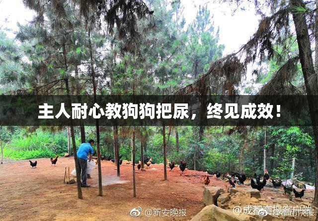 主人耐心教狗狗把尿，终见成效！