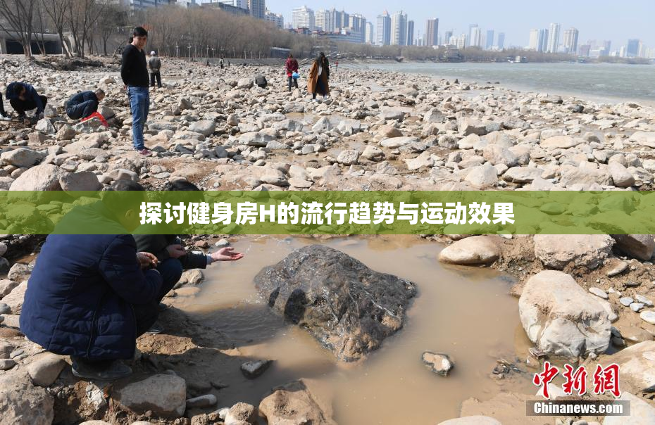 探讨健身房H的流行趋势与运动效果