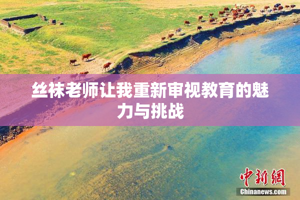 丝袜老师让我重新审视教育的魅力与挑战
