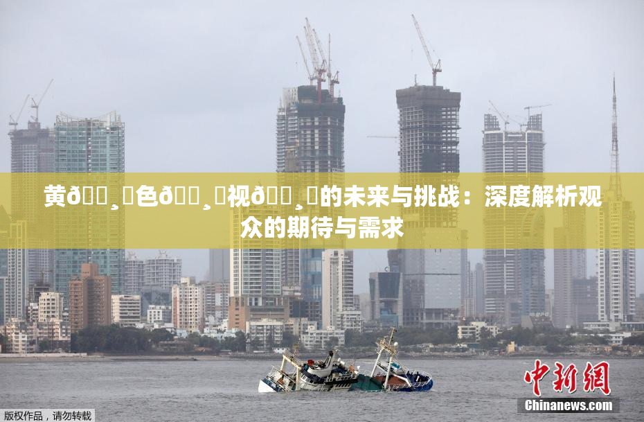 黄🌸‌色🌸‌视🌸‌的未来与挑战：深度解析观众的期待与需求