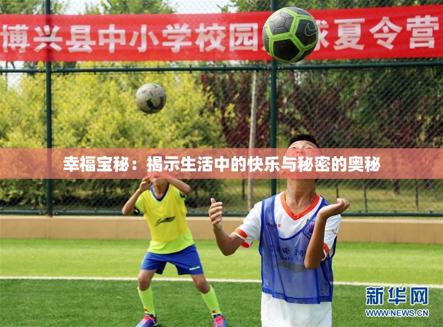 幸福宝秘：揭示生活中的快乐与秘密的奥秘