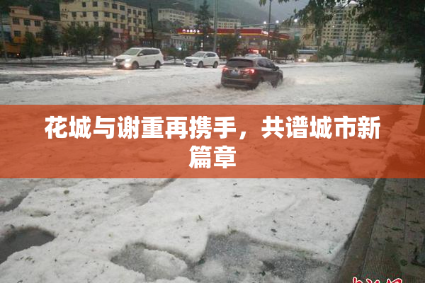 花城与谢重再携手，共谱城市新篇章