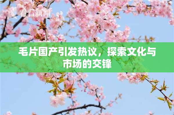毛片国产引发热议，探索文化与市场的交锋