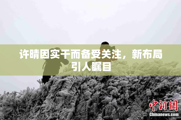 许晴因实干而备受关注，新布局引人瞩目