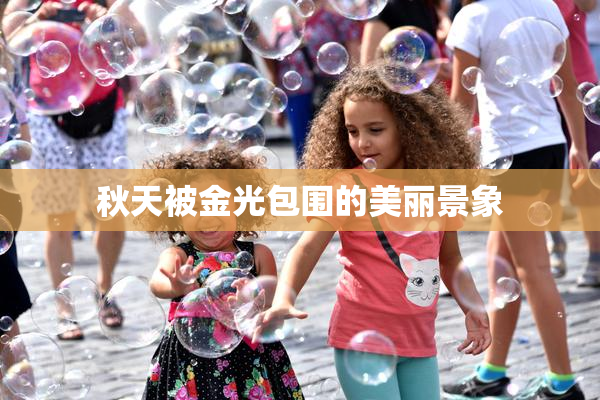 秋天被金光包围的美丽景象