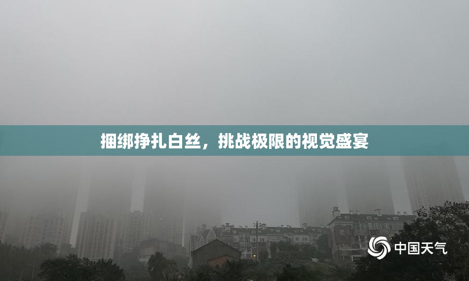 捆绑挣扎白丝，挑战极限的视觉盛宴