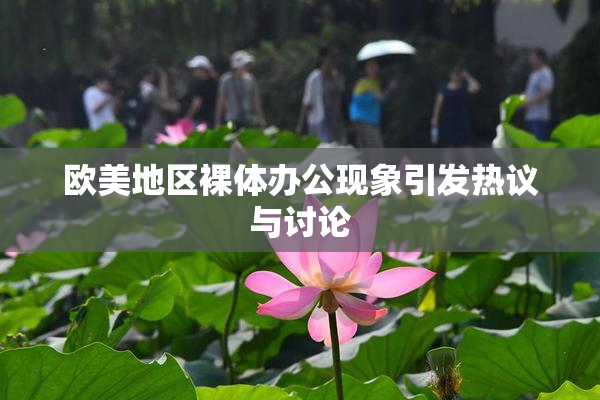 欧美地区裸体办公现象引发热议与讨论