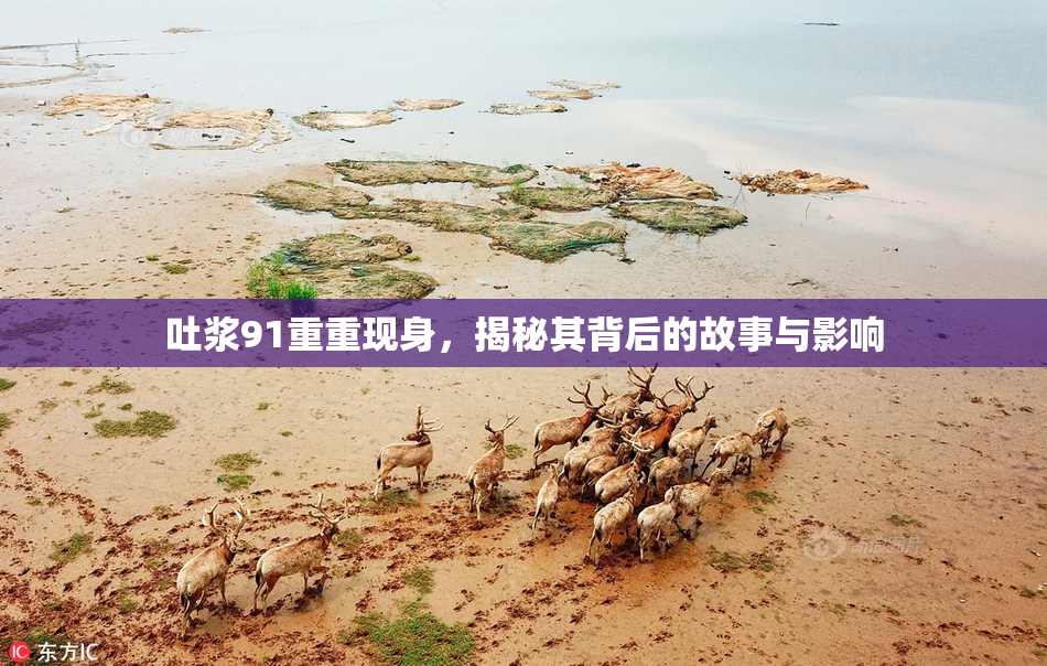 吐浆91重重现身，揭秘其背后的故事与影响
