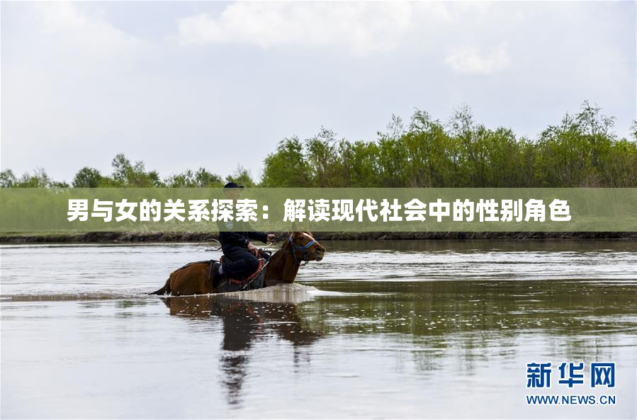 男与女的关系探索：解读现代社会中的性别角色