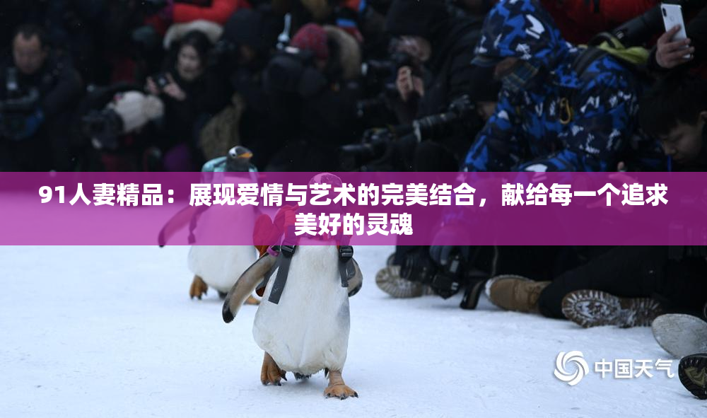 91人妻精品：展现爱情与艺术的完美结合，献给每一个追求美好的灵魂