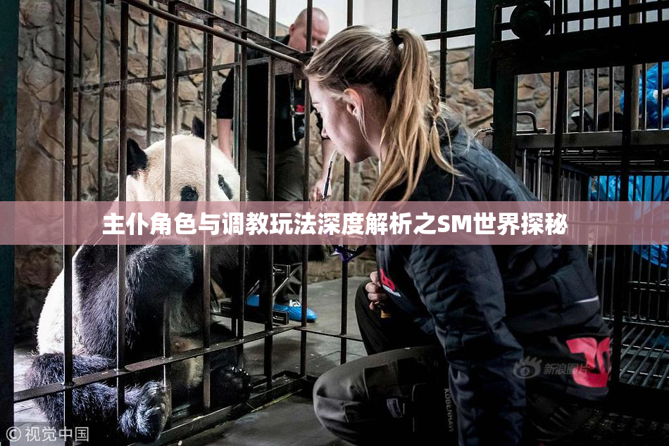 主仆角色与调教玩法深度解析之SM世界探秘