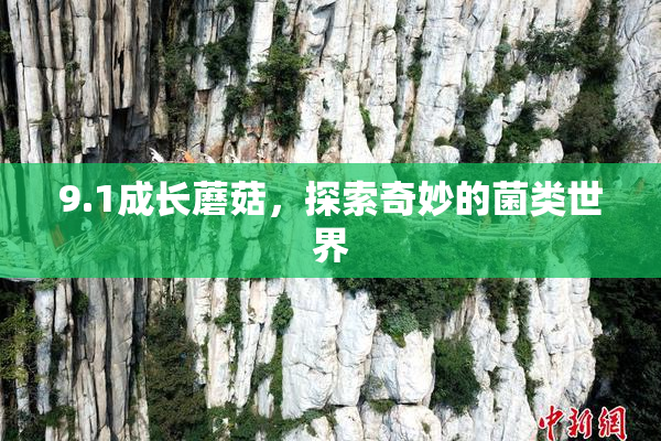 9.1成长蘑菇，探索奇妙的菌类世界