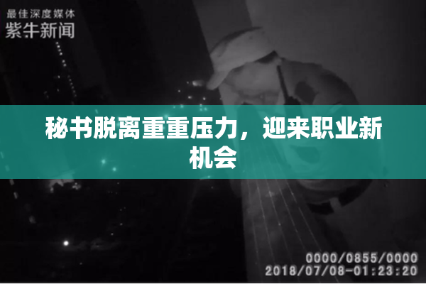 秘书脱离重重压力，迎来职业新机会