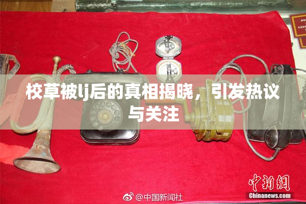 校草被lj后的真相揭晓，引发热议与关注