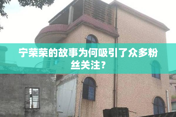 宁荣荣的故事为何吸引了众多粉丝关注？