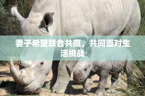 妻子希望联合共赢，共同面对生活挑战