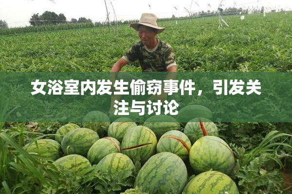 女浴室内发生偷窃事件，引发关注与讨论