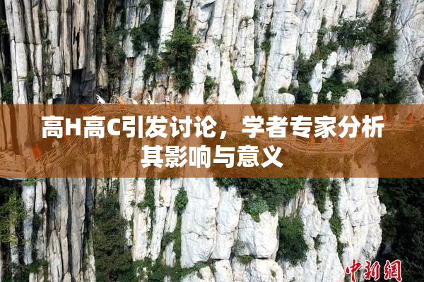 高H高C引发讨论，学者专家分析其影响与意义