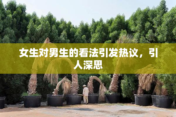女生对男生的看法引发热议，引人深思